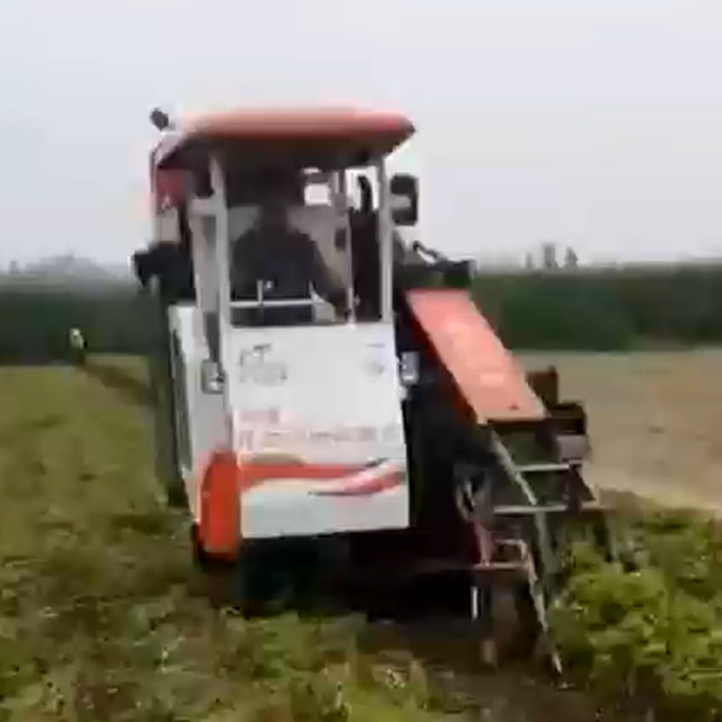 ZHENDAN Peanut combine