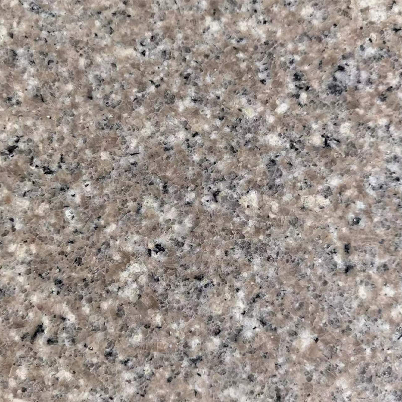 YIYIN Fujian shrimp red granite