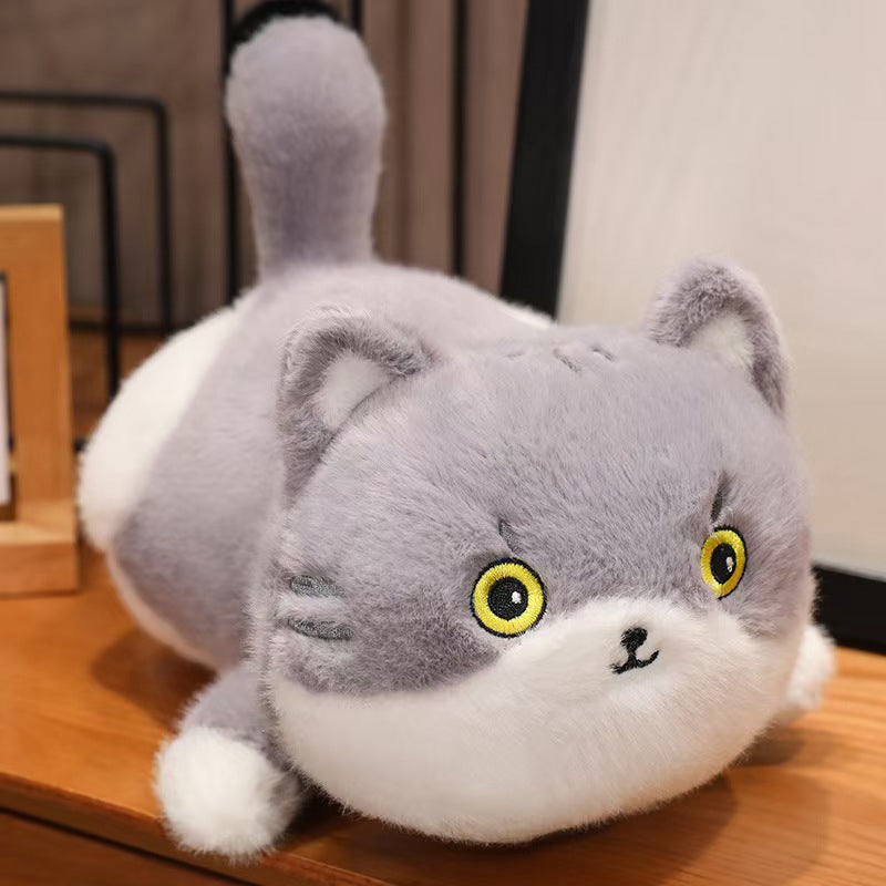 JINHENG Cuddly toy 6（Products can be customized, price ask customer service）plush toy  Super soft plush doll