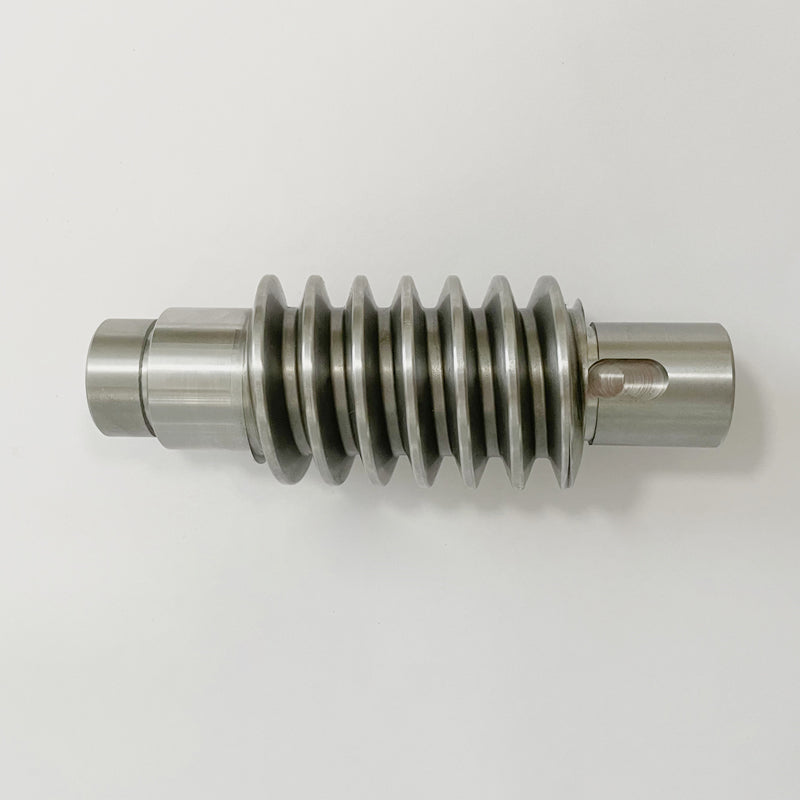 LANGCHI Worm for door opening machine  Metal worm drive ratio precision worm