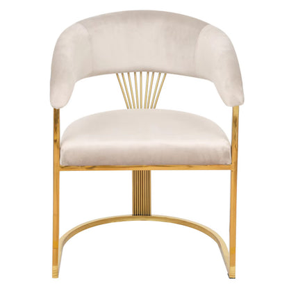 TONGLI Hotel living room chairs, dining chairs  Italian Light Luxury Dining Chair  Hotel Leisure Chair